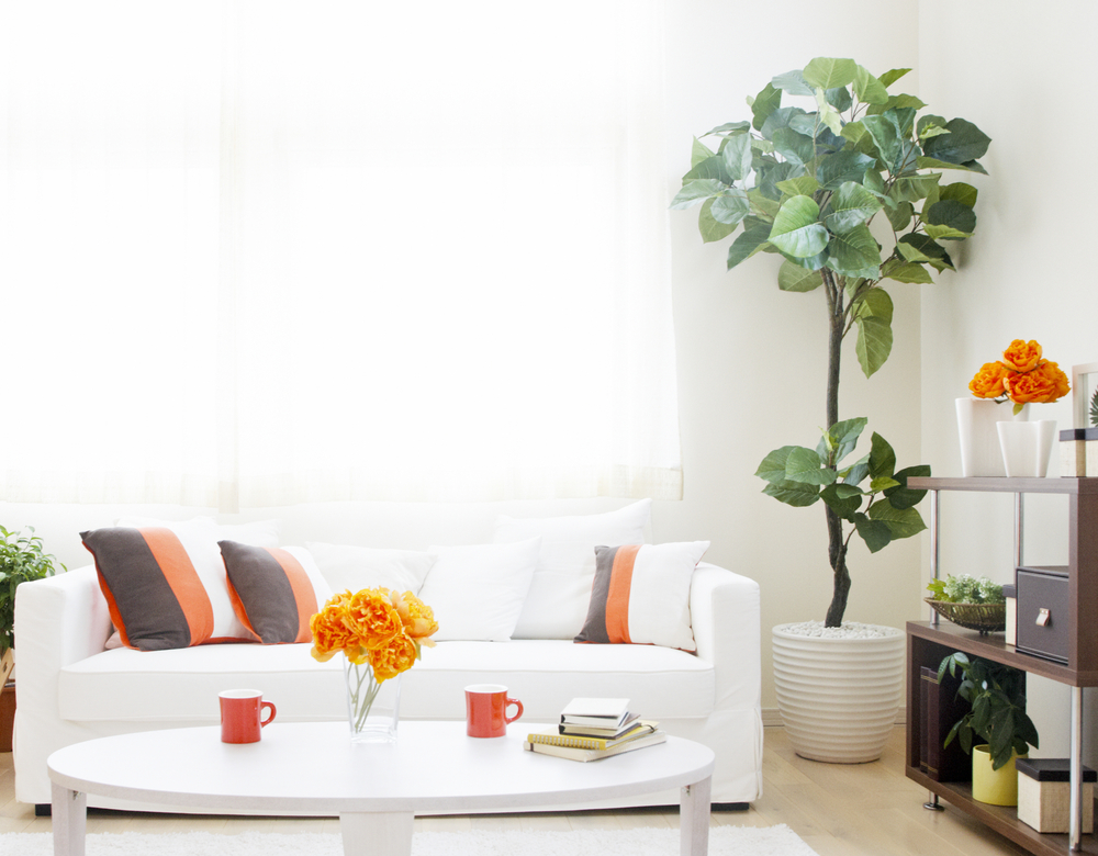 7 Easy Ways to Get Your Home Ready for Spring