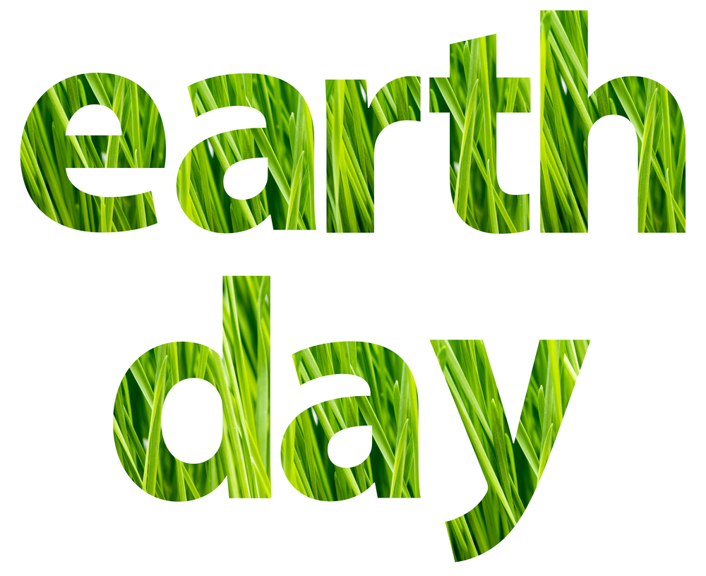 Earth Day 2015: 25 Ways to Go Green | Loren's World