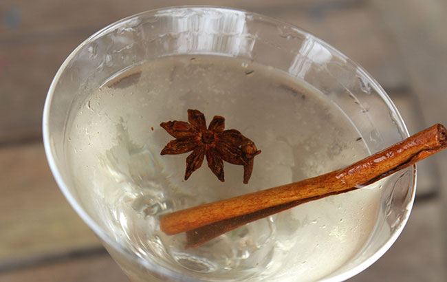 holiday-rye-martini