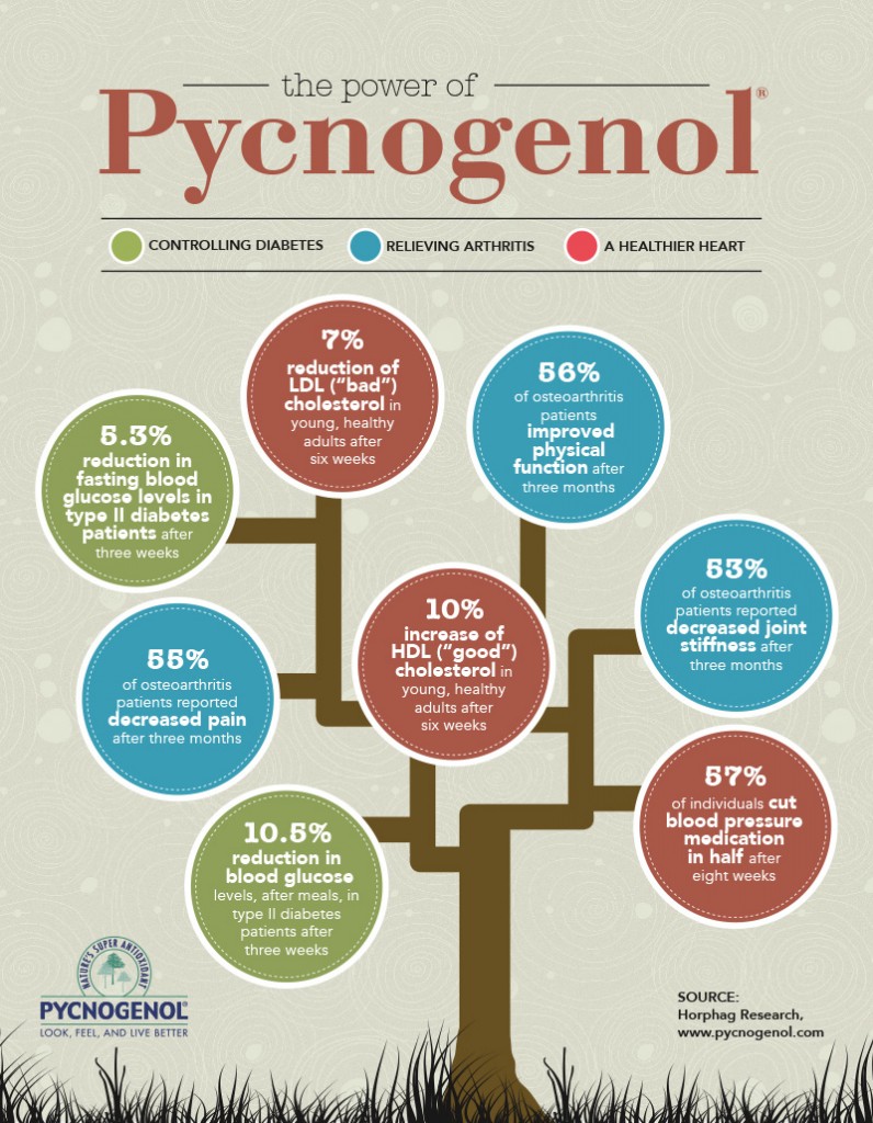Pycnogenol-Infographc