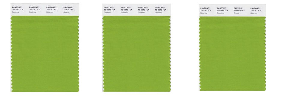 pantone, 2017, color of the year, pantone color of the year, greenery