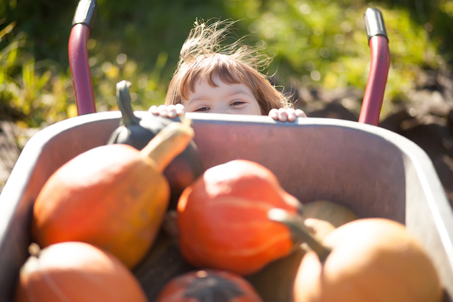 fall bucket, fall bucket list, fall, halloween, fall activities, activities for fall and halloween, list of activities