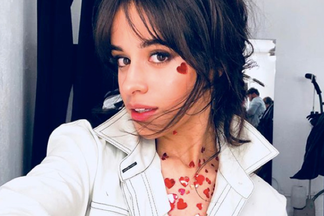 Camila Cabello Opens Up About Blue Ivy at the Grammys, grammys, blue ivy, camila cabello, speech