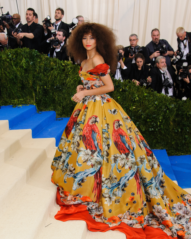 Best Met Looks of All Time, met gala, anna wintour, met gala 2018, met, met steps, celebrity style